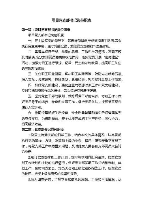 项目党支部书记岗位职责
