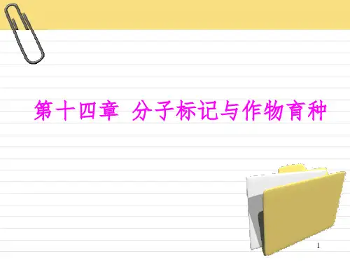 作物育种学总论-第十四章-分子标记辅助选择育种PPT演示课件