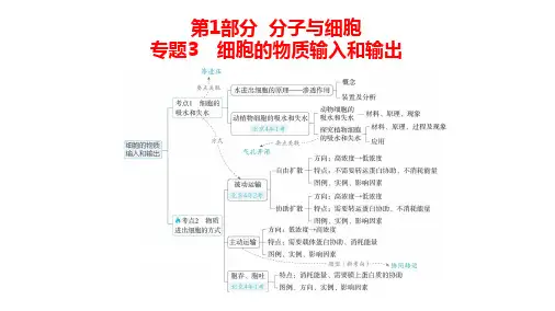 高中生物总复习讲解课件：专题3  细胞的物质输入和输出(共17张PPT)