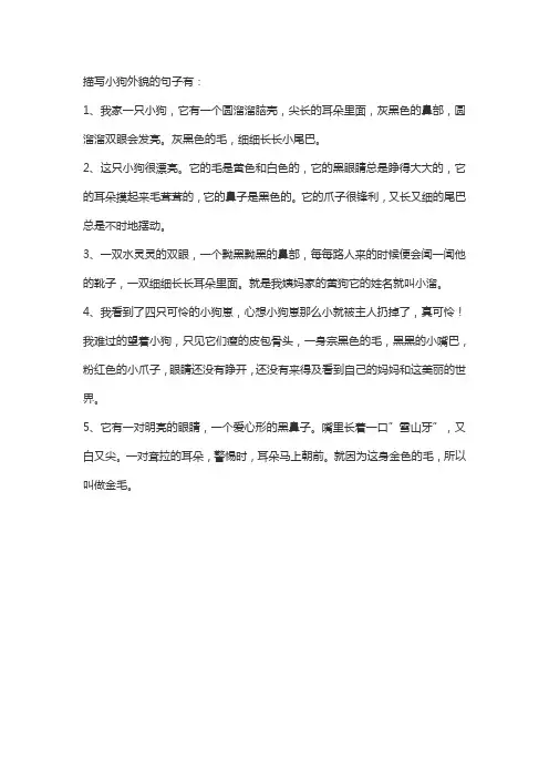 描写小狗的外貌句子