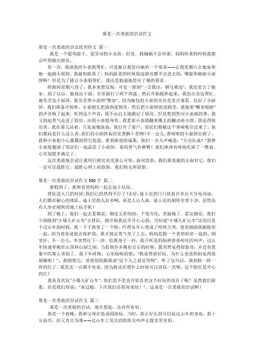 那是一次勇敢的尝试作文