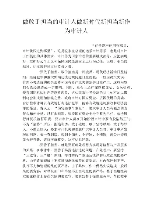 做敢于担当的审计人做新时代新担当新作为审计人