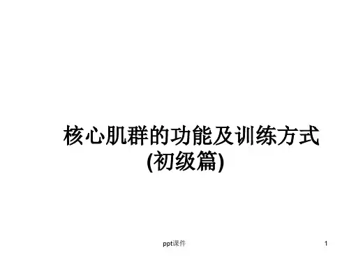 核心肌群功能与训练方式(初级篇)  ppt课件