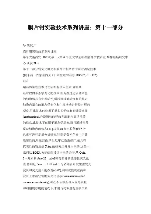 【doc】膜片钳实验技术系列讲座：第十一部分