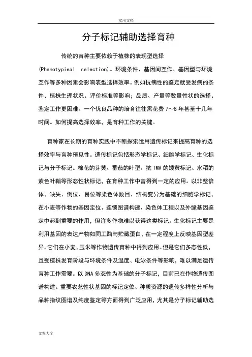 分子标记辅助选择育种