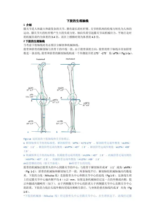 第1章 下肢的生理轴线