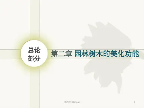 园林树木的美化功能