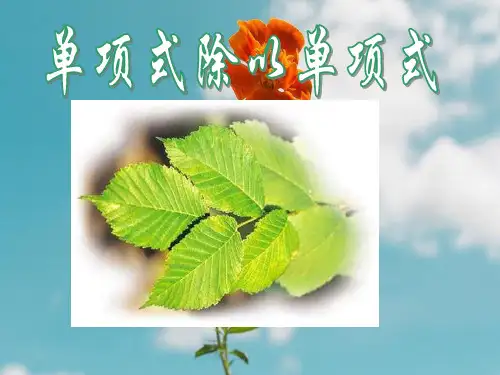 单项式除以单项式PPT教学课件