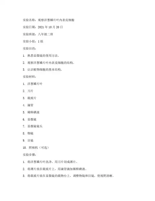 初中生物实验报告单