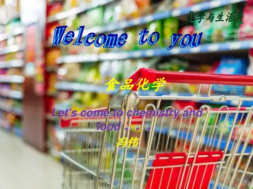 食品化学-绪论
