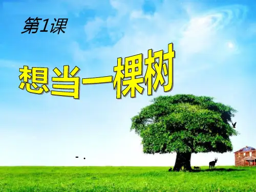 《想当一棵树》PPT课件