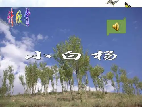 人教新课标版小学语文五年级下册第三课《白杨》PPT课件 - 副本