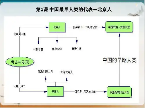 部编新七年级上历史思维导图ppt(图片新)
