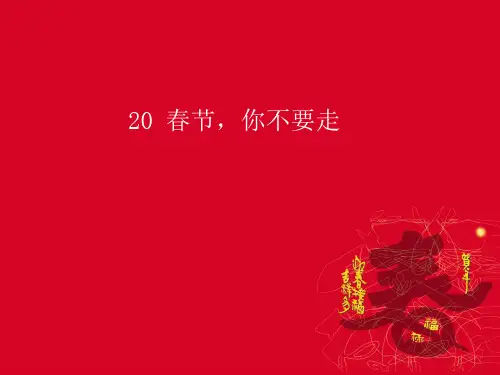 最新二年级语文上册第20课春节你不要走西师大版优选教学课件
