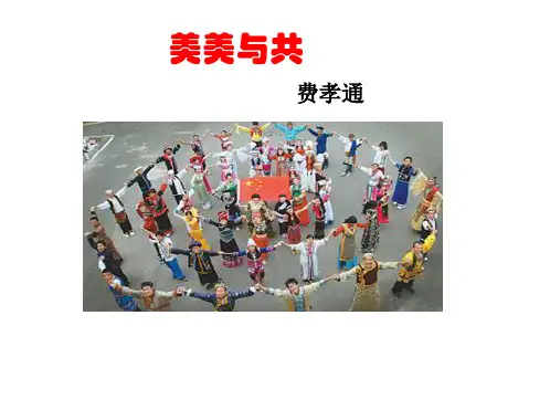 美美与共(相当实用)