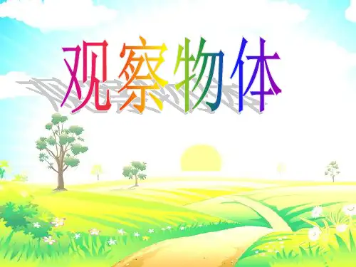 五年级下册数学课件- 第一单元观察物体(三)人教新课标优质课 (共12张PPT)