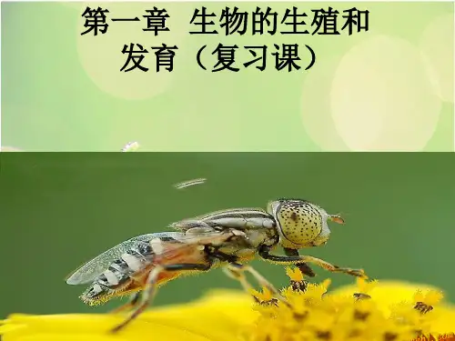 生物的生殖和发育(复习课)