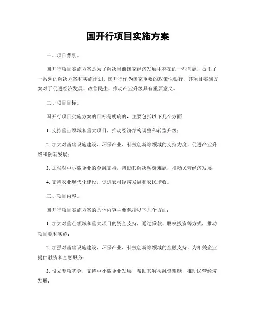 国开行项目实施方案