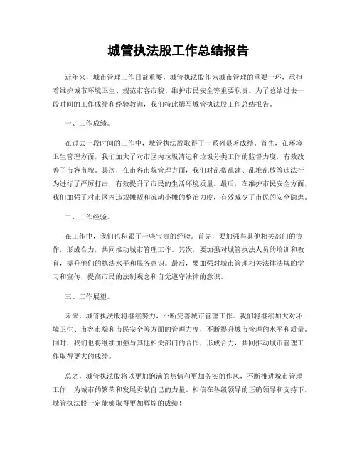 城管执法股工作总结报告