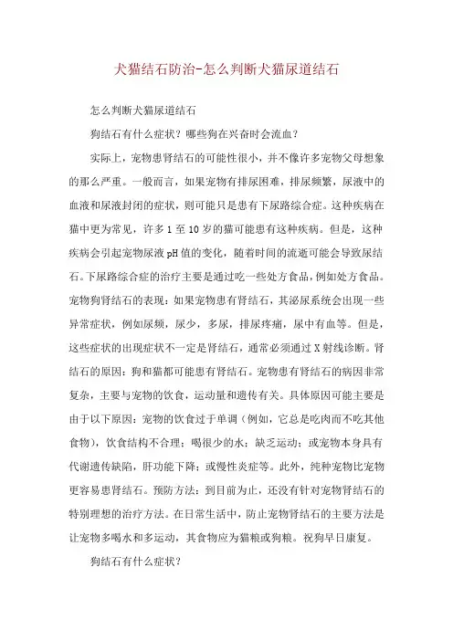 犬猫结石防治-怎么判断犬猫尿道结石