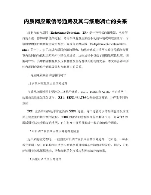 内质网应激信号通路及其与细胞凋亡的关系