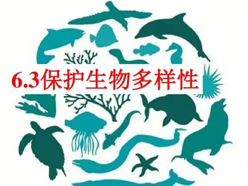 6.3保护生物多样性课件(36张PPT)