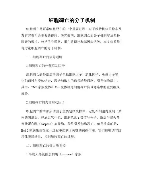 细胞凋亡的分子机制