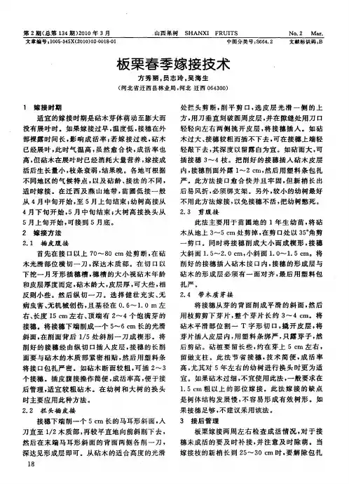 板栗春季嫁接技术