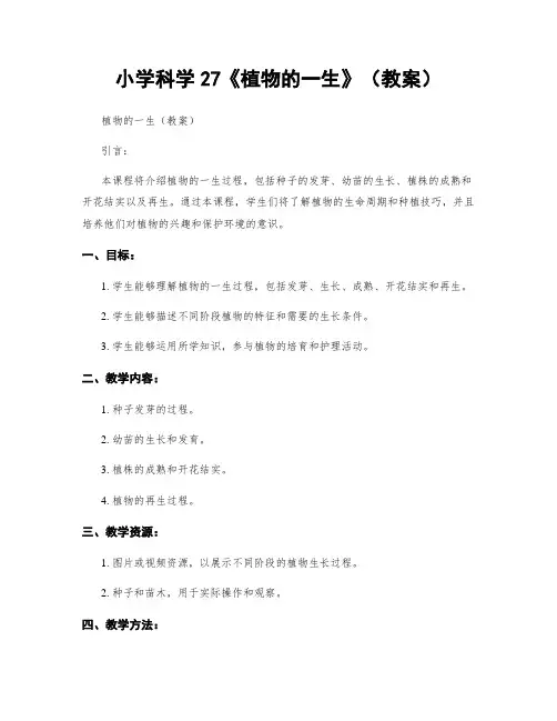 小学科学27《植物的一生》(教案)