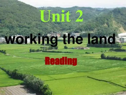 人教版高二英语必修四Unit2 Reading