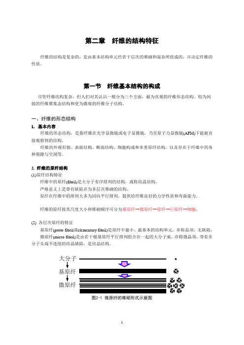 纤维的结构特征