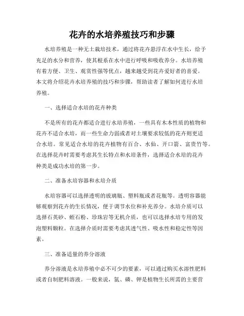 花卉的水培养殖技巧和步骤