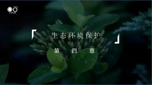 高中地理 人教版选修6-4-1森 林 及 其 保 护(共32张ppt)