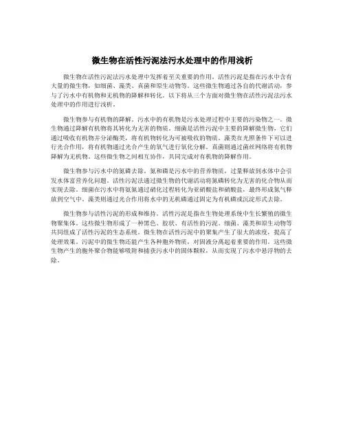 微生物在活性污泥法污水处理中的作用浅析
