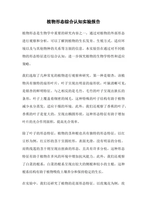 植物形态综合认知实验报告