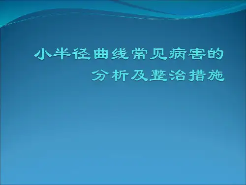 小半径曲线常见病害的分析及整治措施可修改全文
