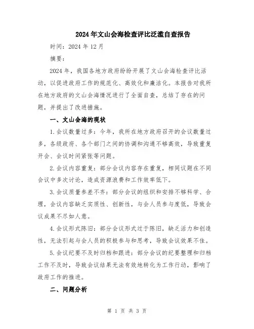2024年文山会海检查评比泛滥自查报告