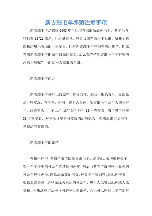 新吉细毛羊养殖注意事项
