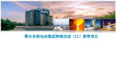 持续改进(CI)黄带项目报告