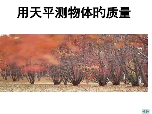 八年级物理用天平测物体的质量1省公开课获奖课件市赛课比赛一等奖课件