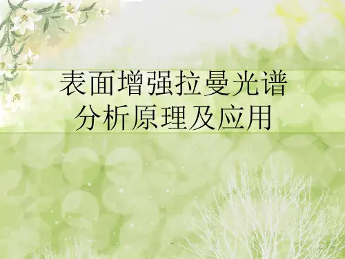表面增强拉曼光谱分析原理及应用