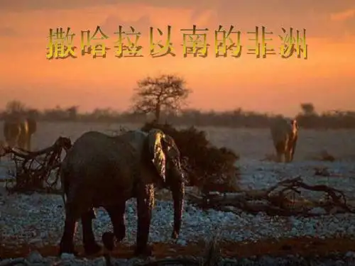撒哈拉以南的非洲(上课用2)