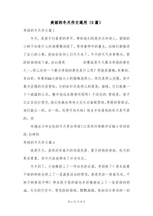 美丽的冬天作文通用(5篇)