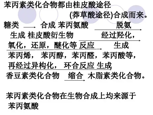 天然药化苯丙素类教学文案