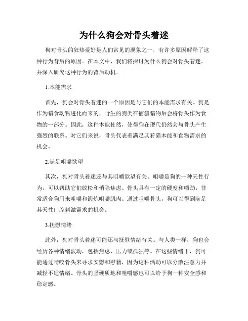 为什么狗会对骨头着迷