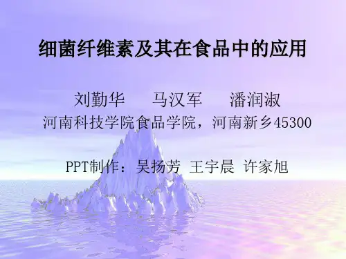 细菌纤维素及其在食品中的应用