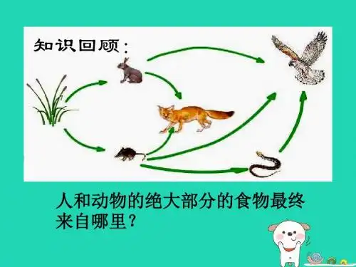 七年级生物上册3.4《绿色植物是生物圈中有机物的制造者》教学课件(33张ppt)(新版新人教版)