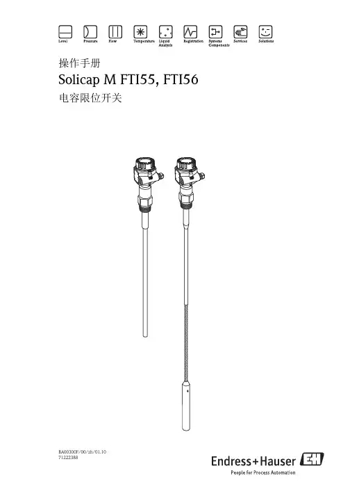 E+H Solicap M FTI55 FTI56 电容限位开关操作手册