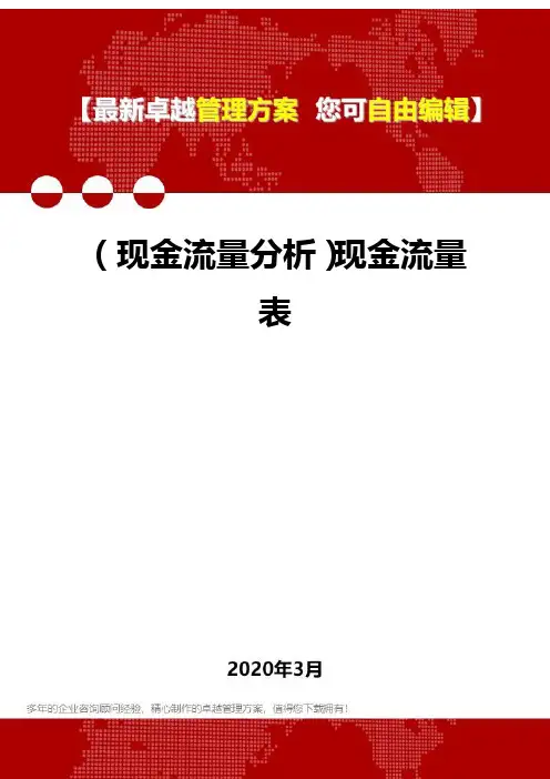 2020年(现金流量分析)现金流量表