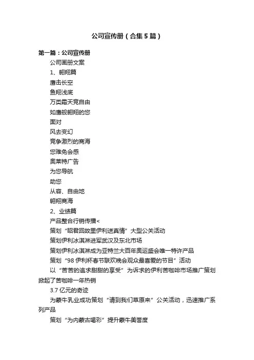 公司宣传册（合集5篇）